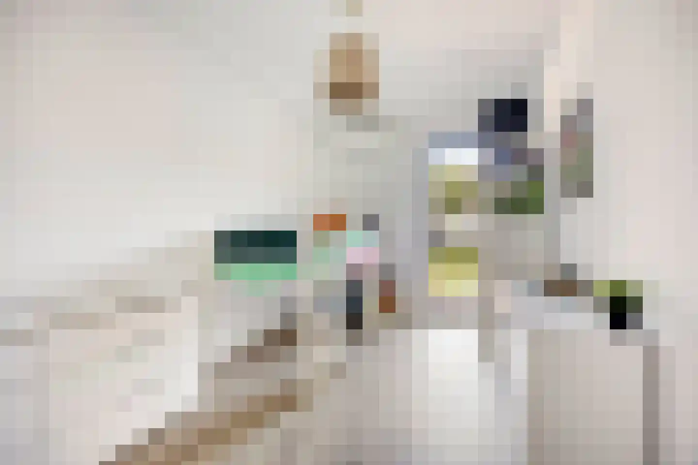 Brantjesoever 3 Purmerend thumbnail 27