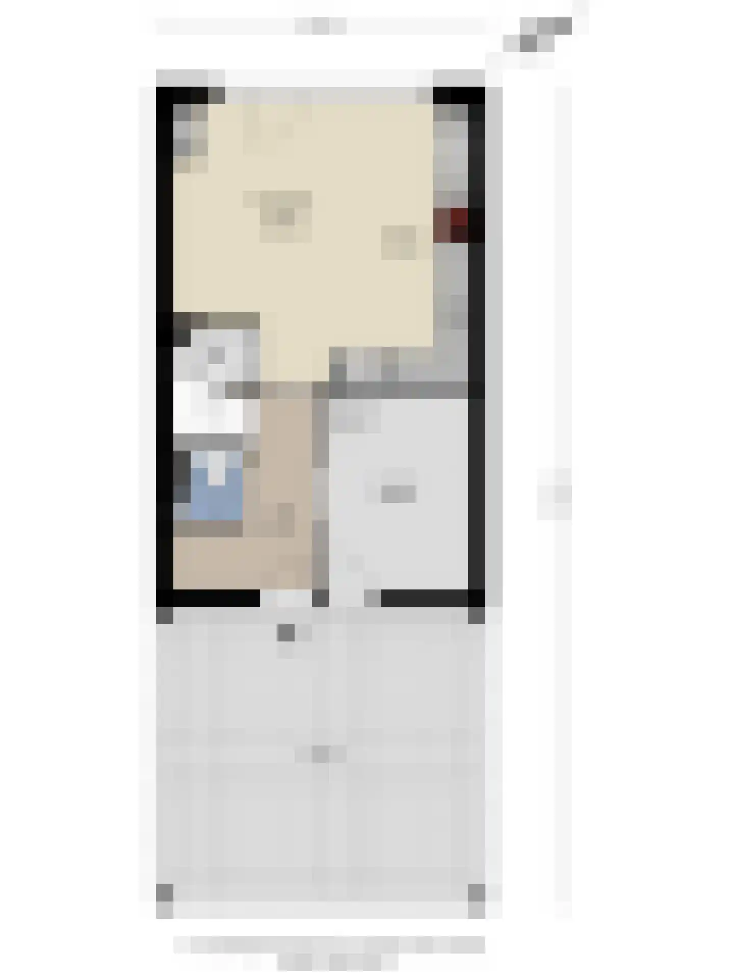 Brantjesoever 3 Purmerend thumbnail 37