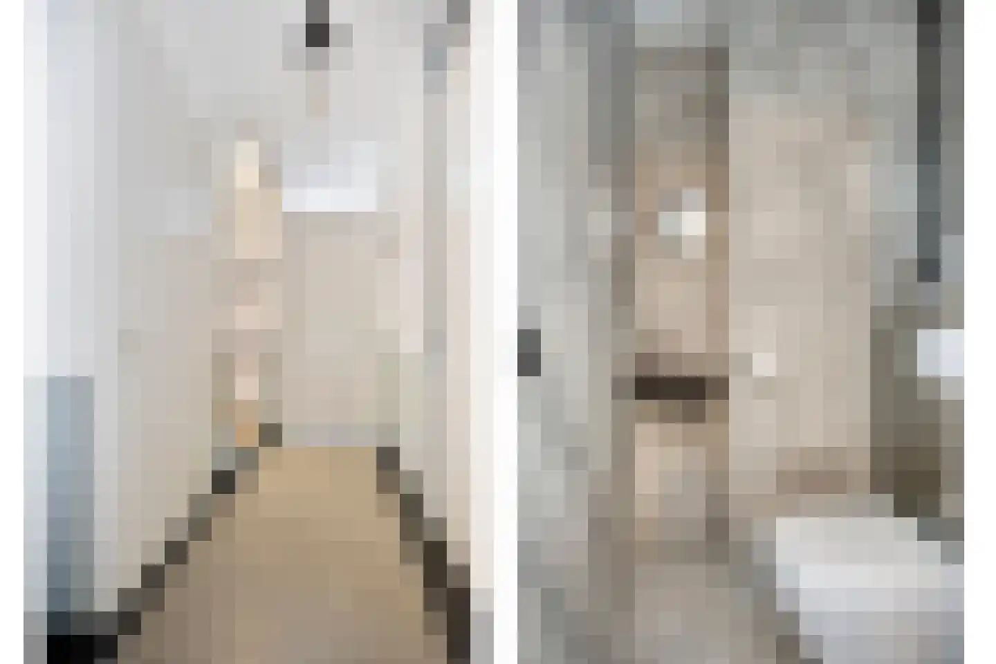 Brantjesoever 3 Purmerend thumbnail 9
