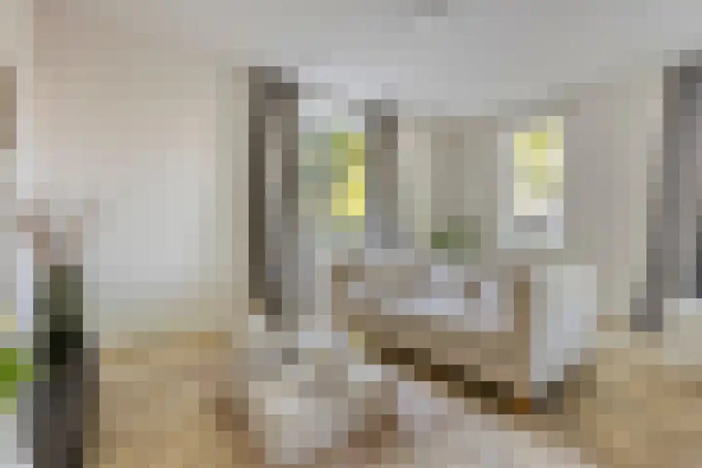Brantjesoever 32 Purmerend thumbnail 14