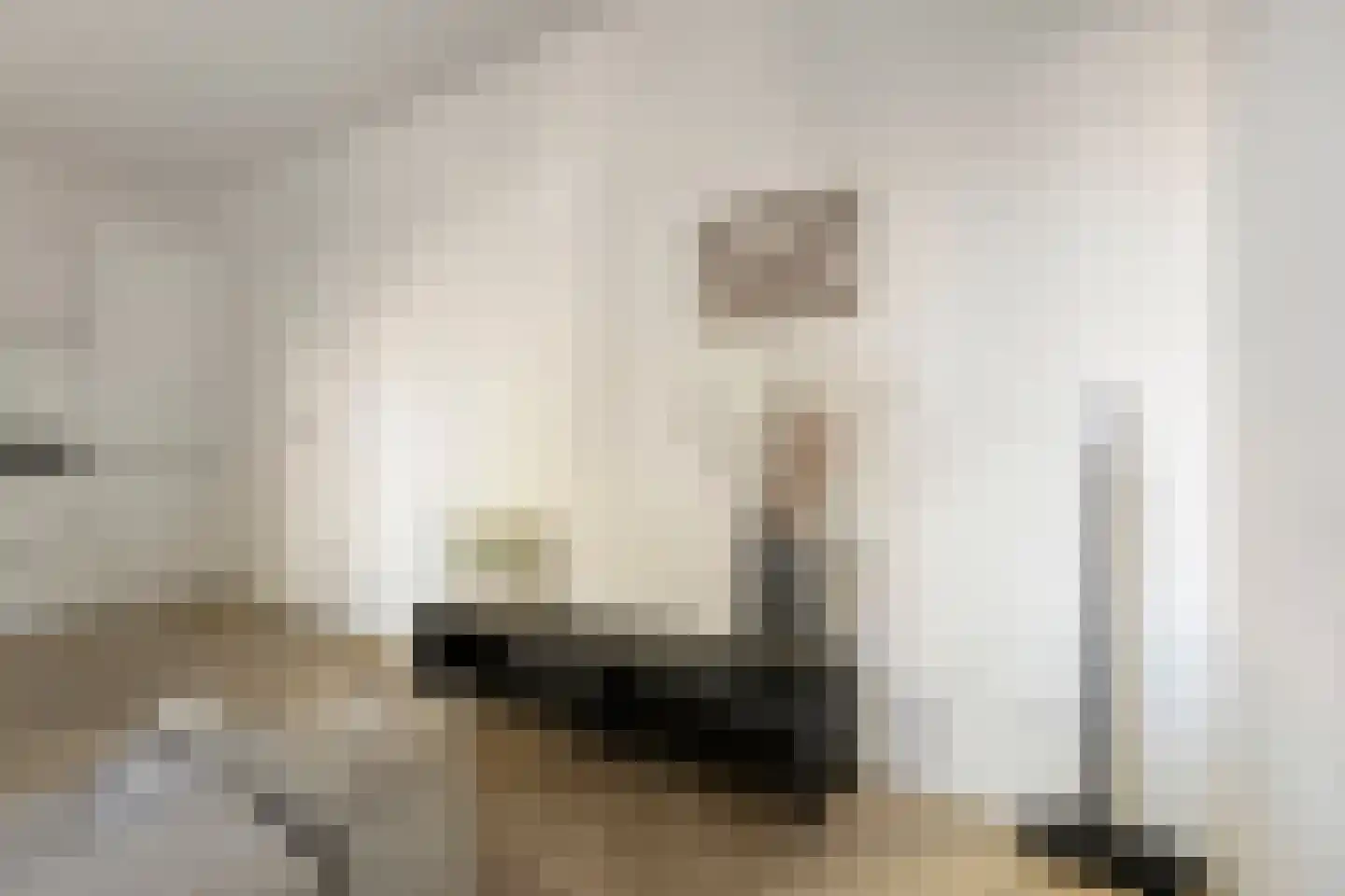 Brantjesoever 32 Purmerend thumbnail 15