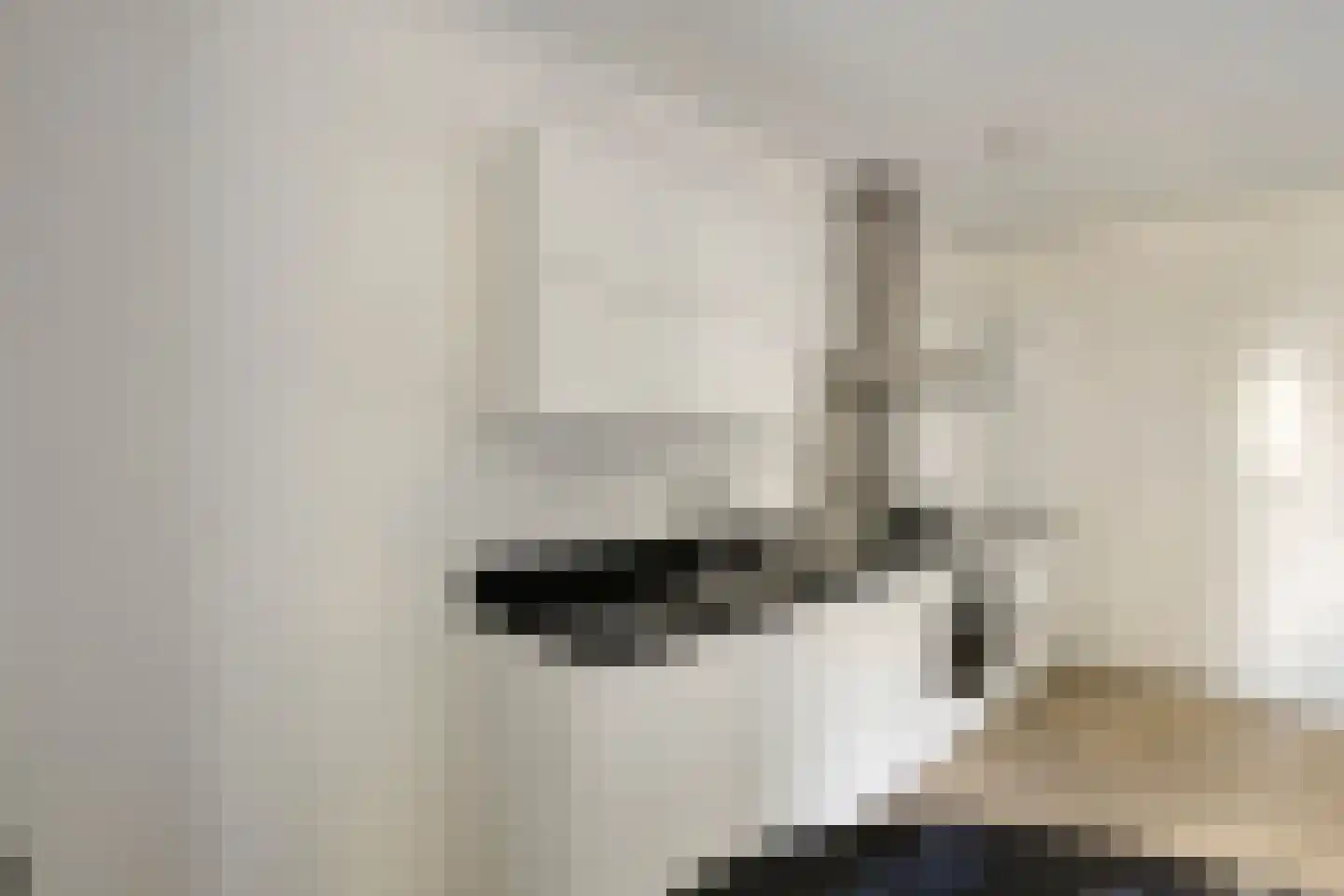 Brantjesoever 32 Purmerend thumbnail 17