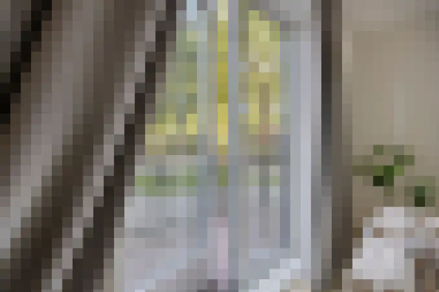 Brantjesoever 32 Purmerend thumbnail 22
