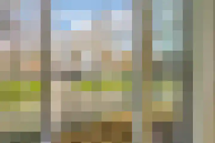 Brantjesoever 32 Purmerend thumbnail 23