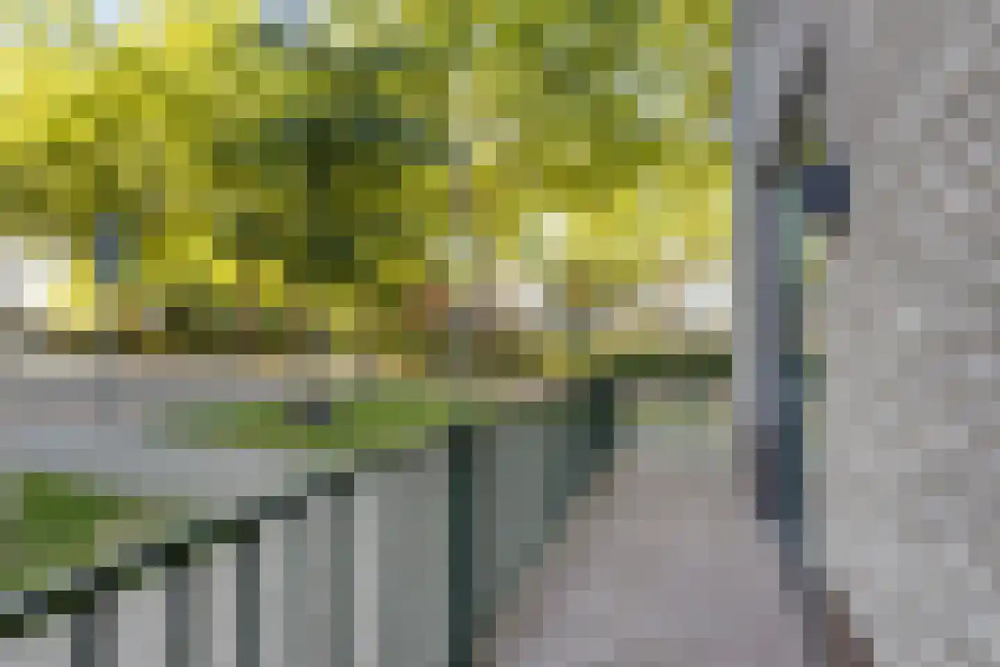 Brantjesoever 32 Purmerend thumbnail 24