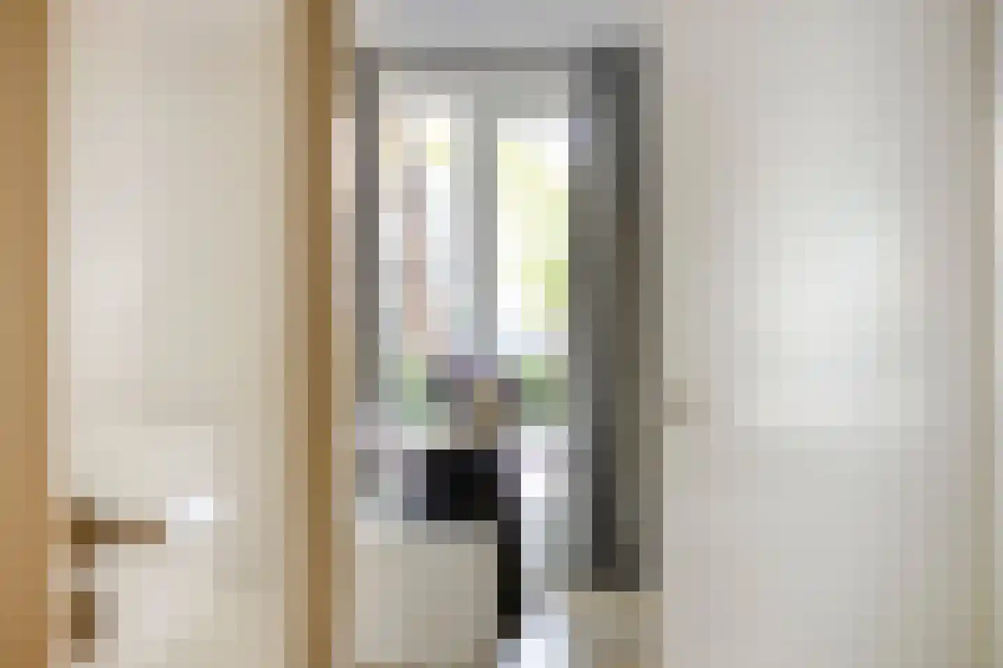 Brantjesoever 32 Purmerend thumbnail 9