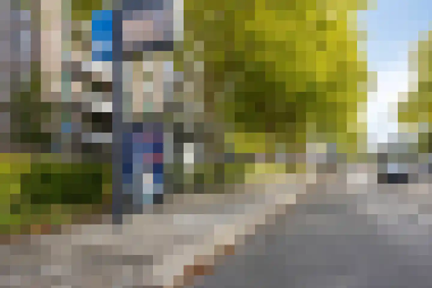 Brantjesoever 36 Purmerend thumbnail 25