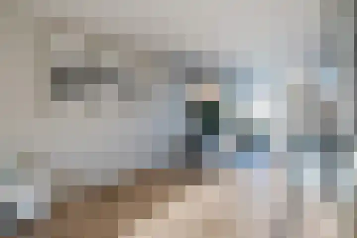 Brantjesoever 8 Purmerend thumbnail 18