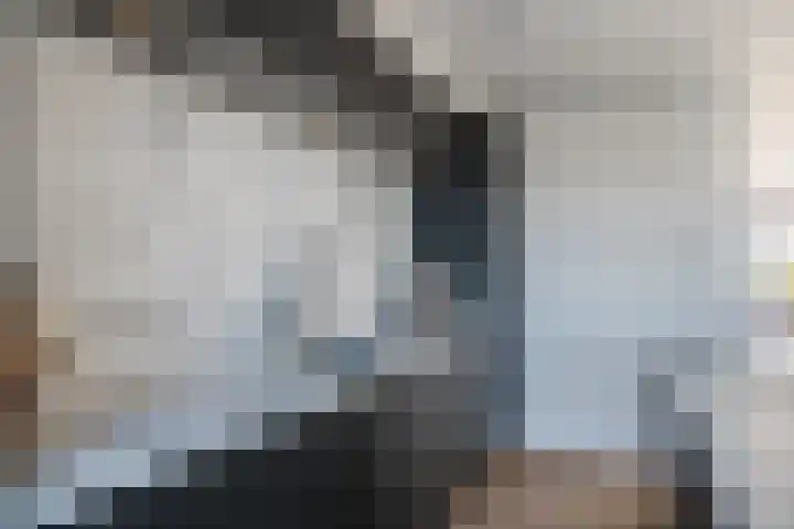 Brantjesoever 8 Purmerend thumbnail 22