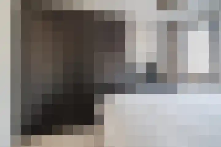 Brantjesoever 8 Purmerend thumbnail 29