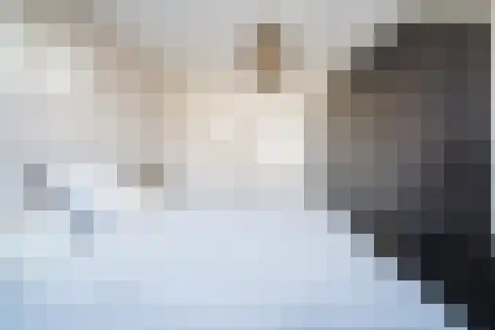 Brantjesoever 8 Purmerend thumbnail 30