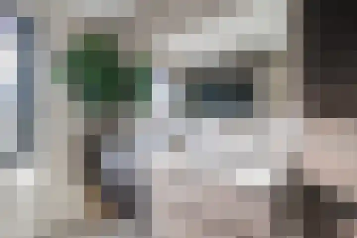 Brantjesoever 8 Purmerend thumbnail 37