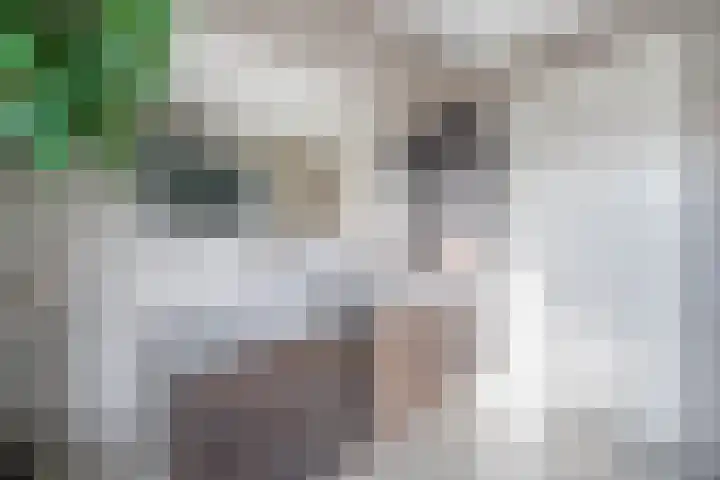 Brantjesoever 8 Purmerend thumbnail 38