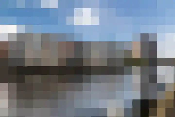 Brantjesoever 8 Purmerend thumbnail 5