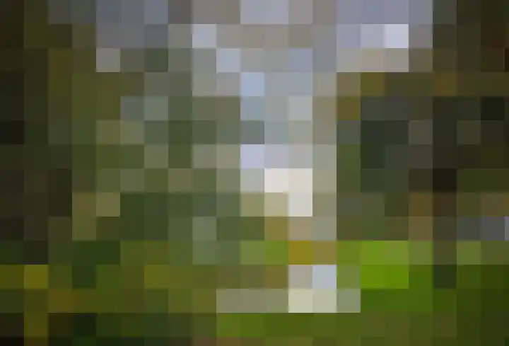 Brantjesoever 8 Purmerend thumbnail 63