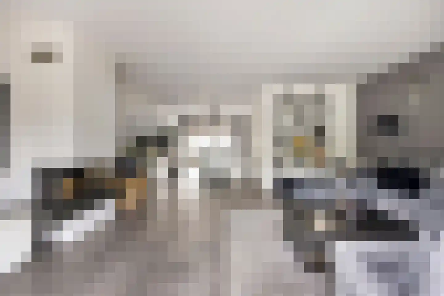 Brantjesstraat 17 Purmerend thumbnail 18