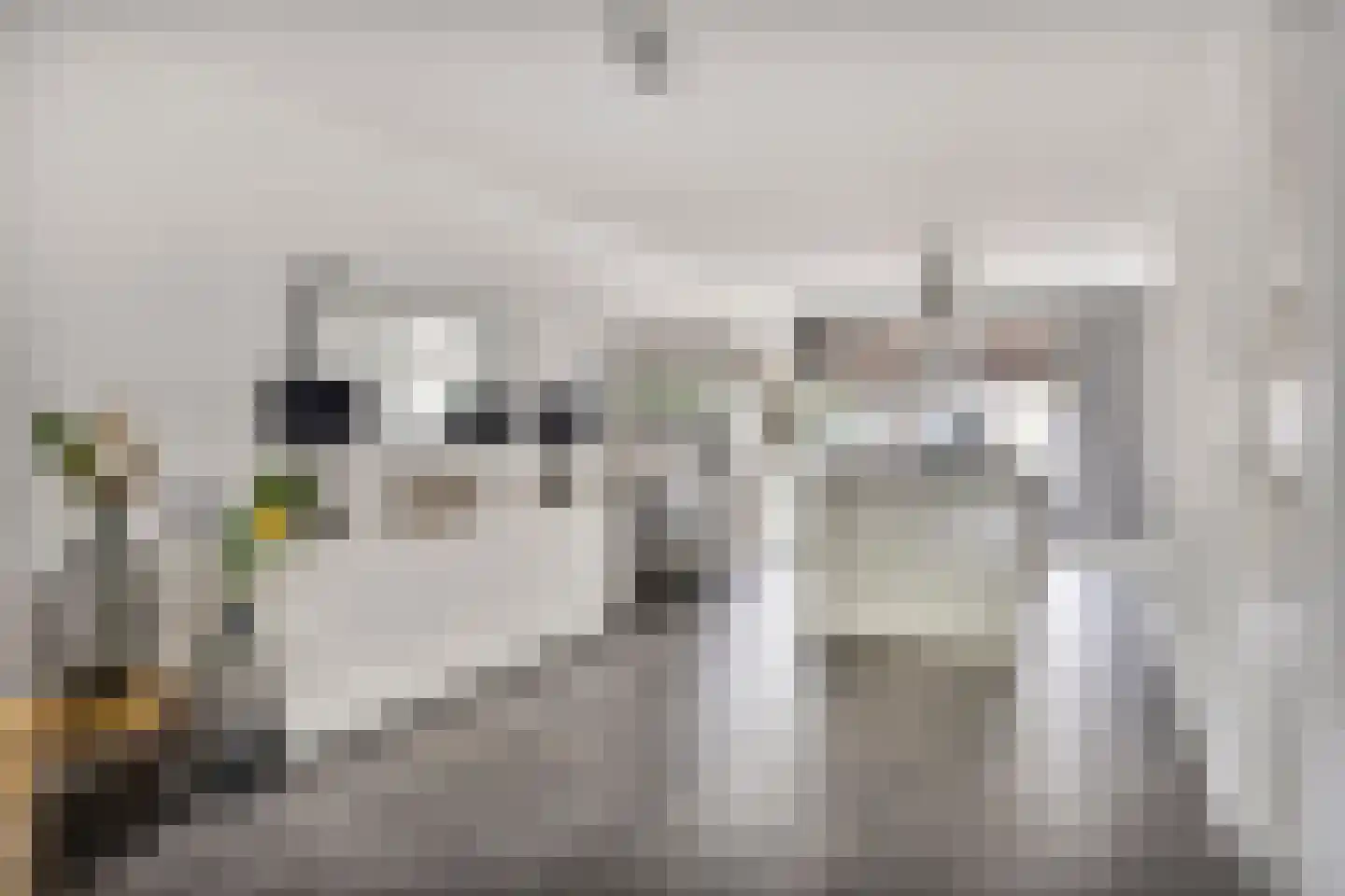 Brantjesstraat 17 Purmerend thumbnail 20