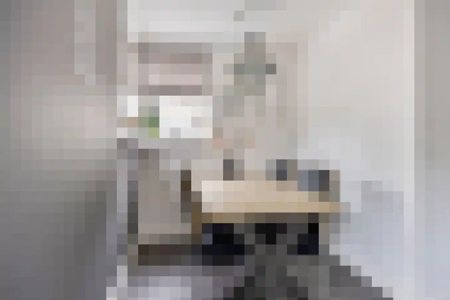 Brantjesstraat 17 Purmerend thumbnail 28
