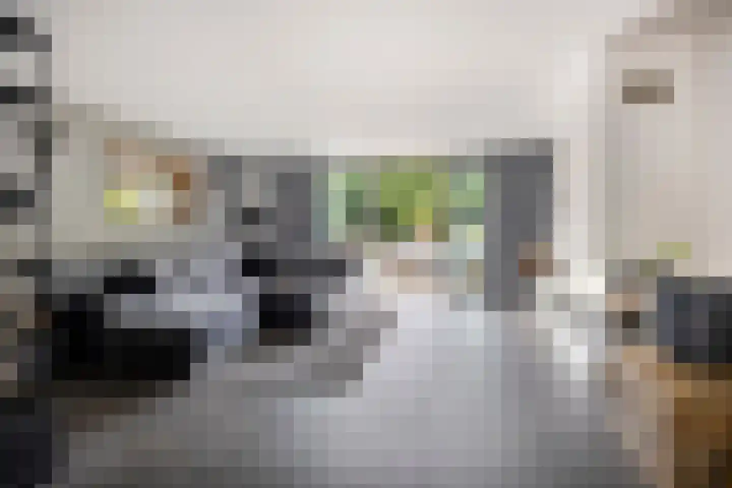 Brantjesstraat 17 Purmerend thumbnail 4