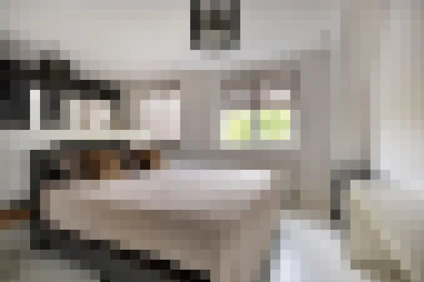 Brantjesstraat 17 Purmerend thumbnail 7