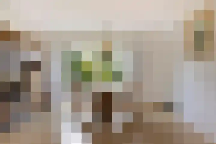 Brantjesstraat 22 Purmerend thumbnail 9