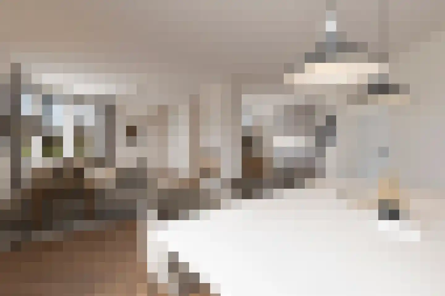 Brantjesstraat 38 Purmerend thumbnail 13