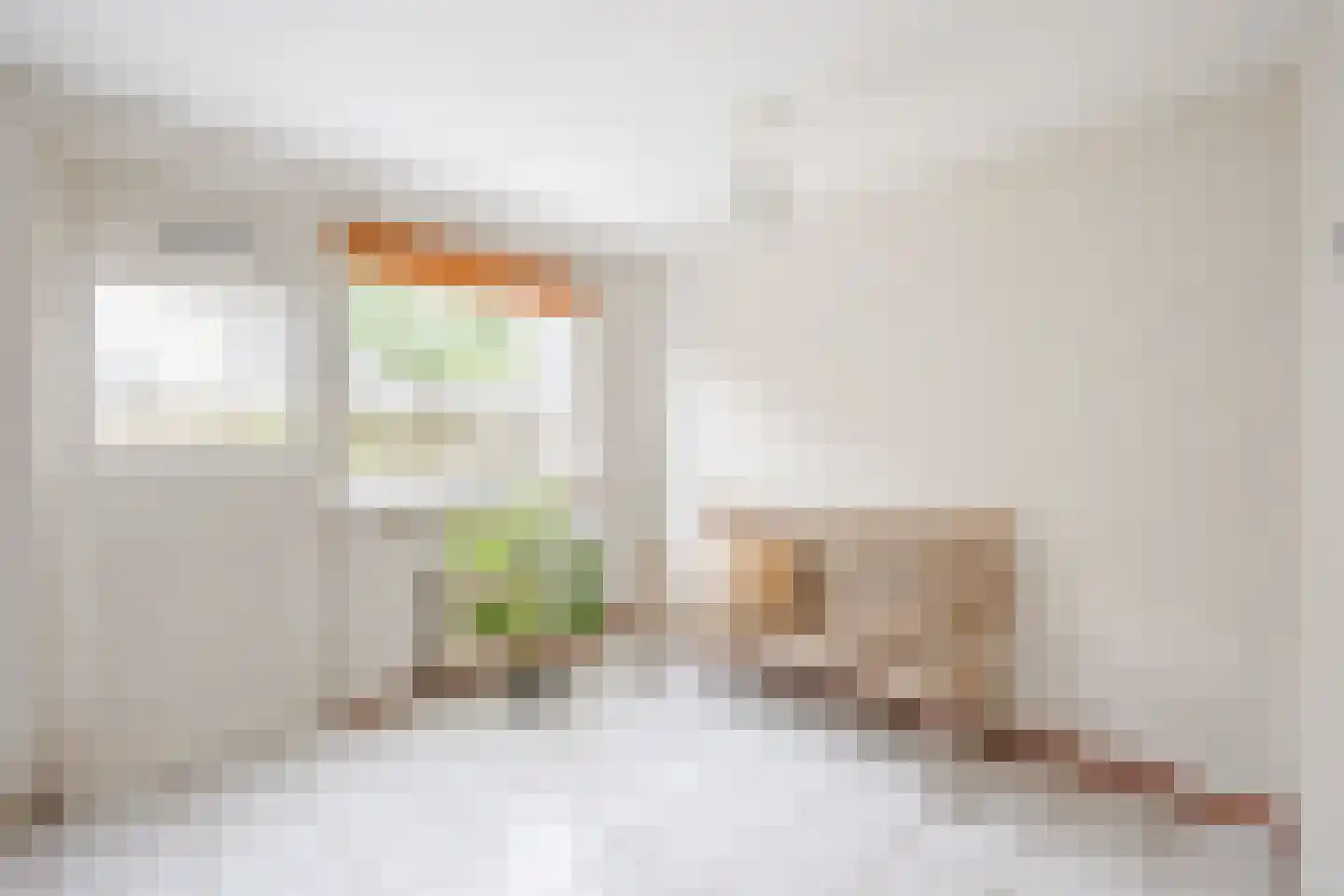 Brantjesstraat 38 Purmerend thumbnail 26