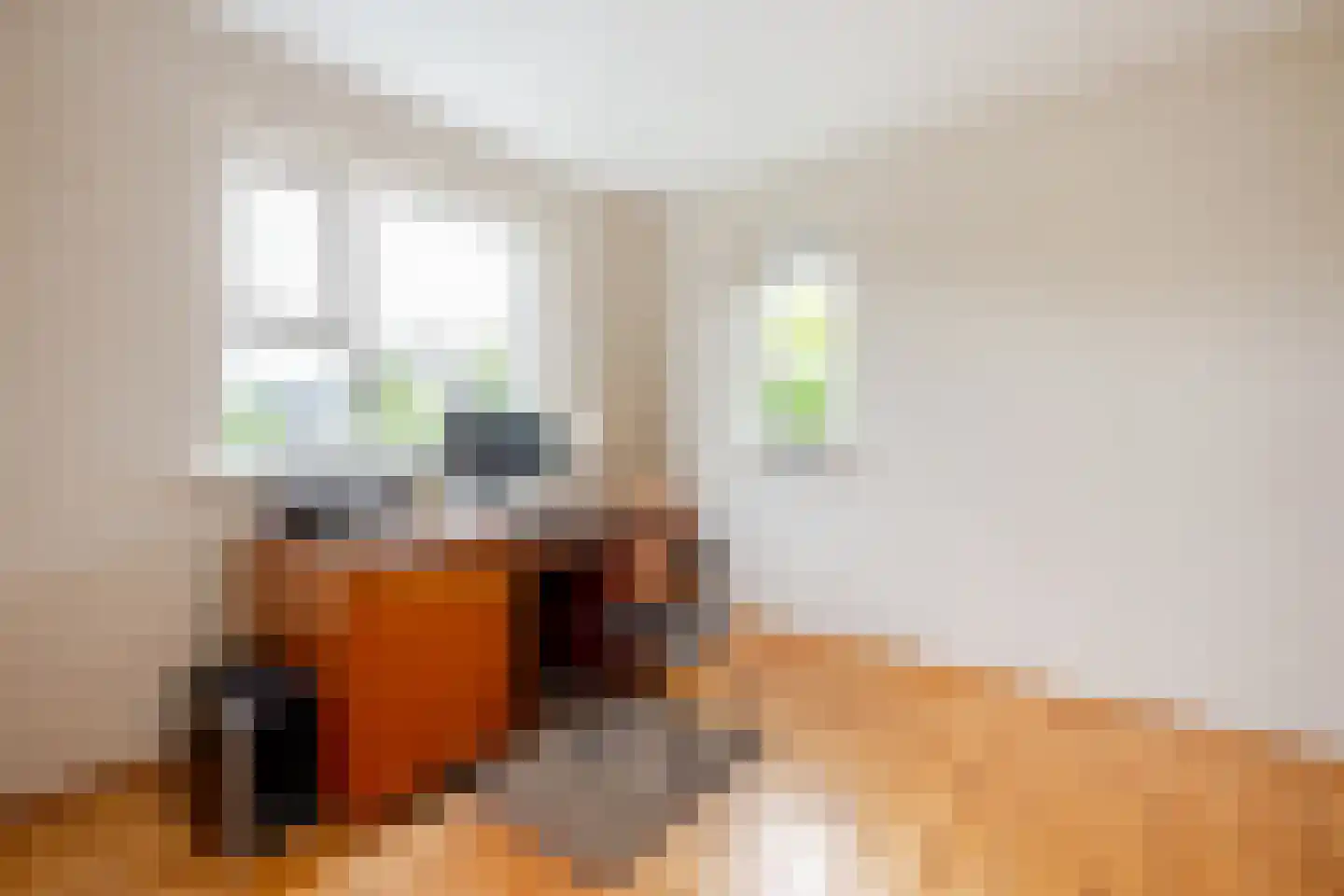 Brantjesstraat 38 Purmerend thumbnail 36