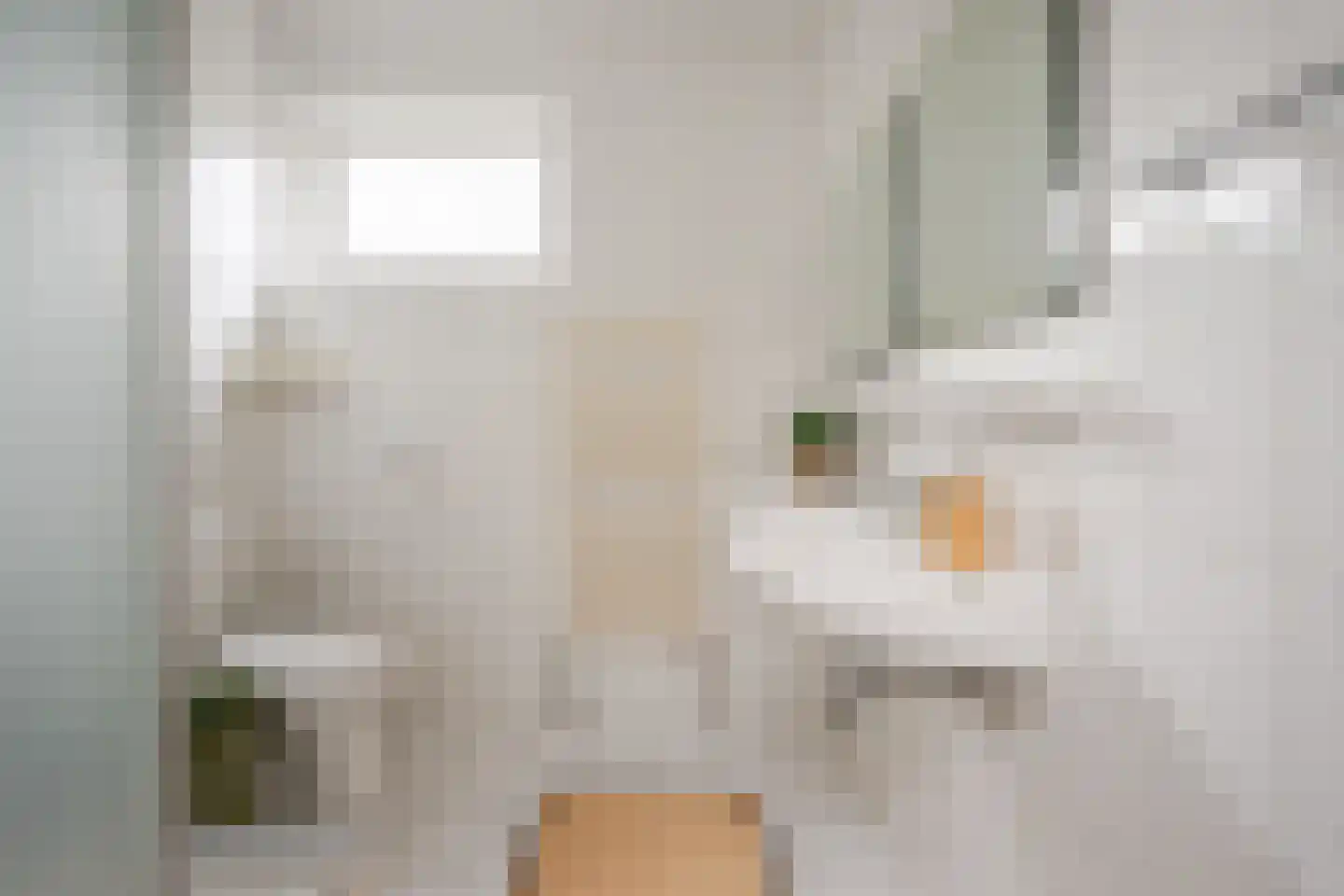 Brantjesstraat 38 Purmerend thumbnail 38