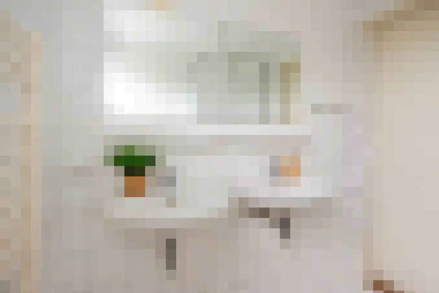 Brantjesstraat 38 Purmerend thumbnail 39