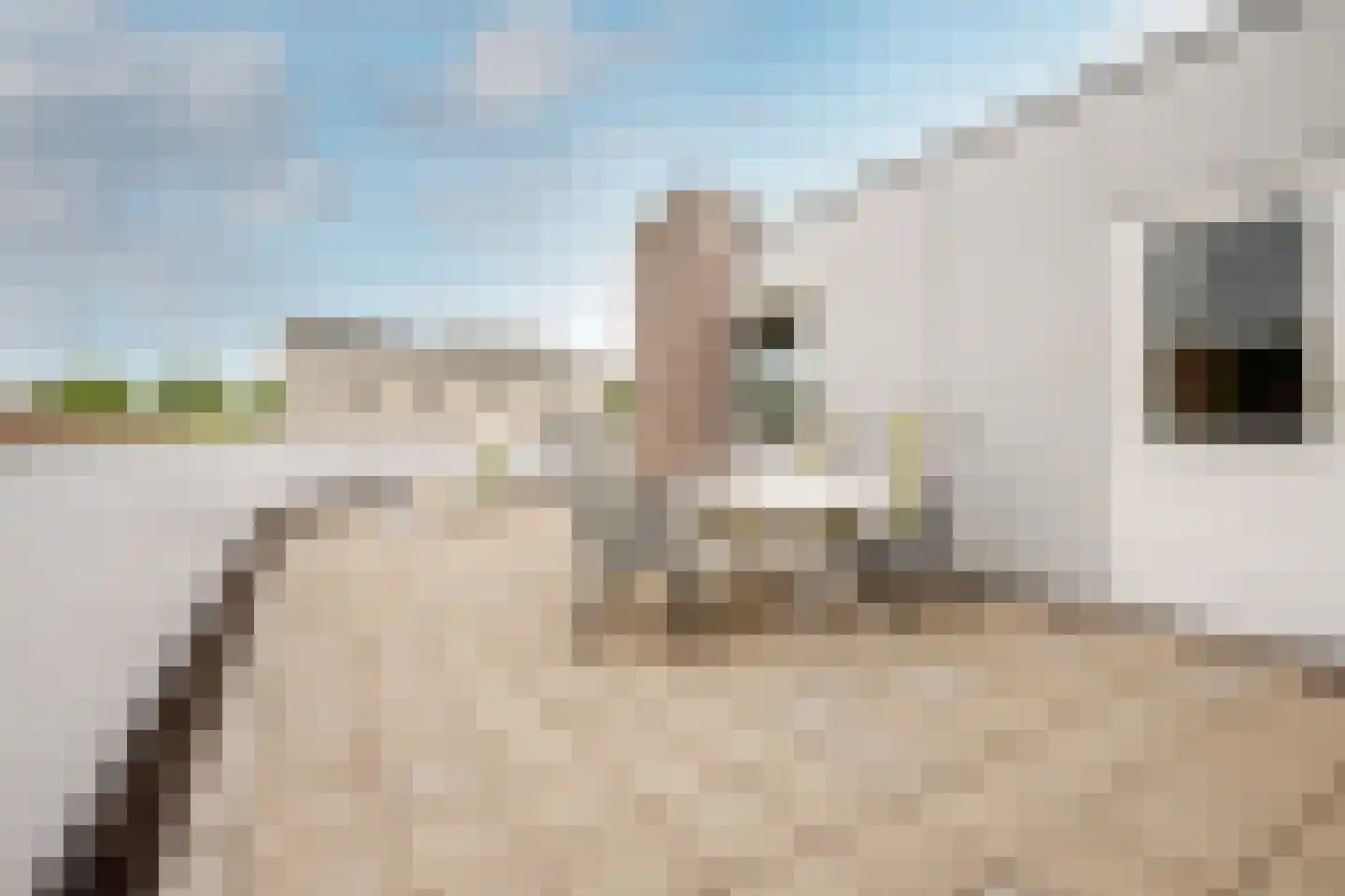 Brantjesstraat 38 Purmerend thumbnail 43