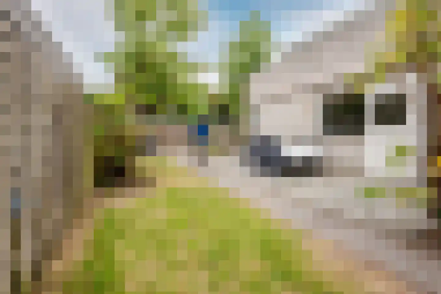 Brantjesstraat 38 Purmerend thumbnail 46