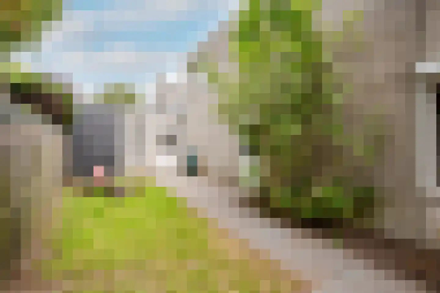 Brantjesstraat 38 Purmerend thumbnail 48