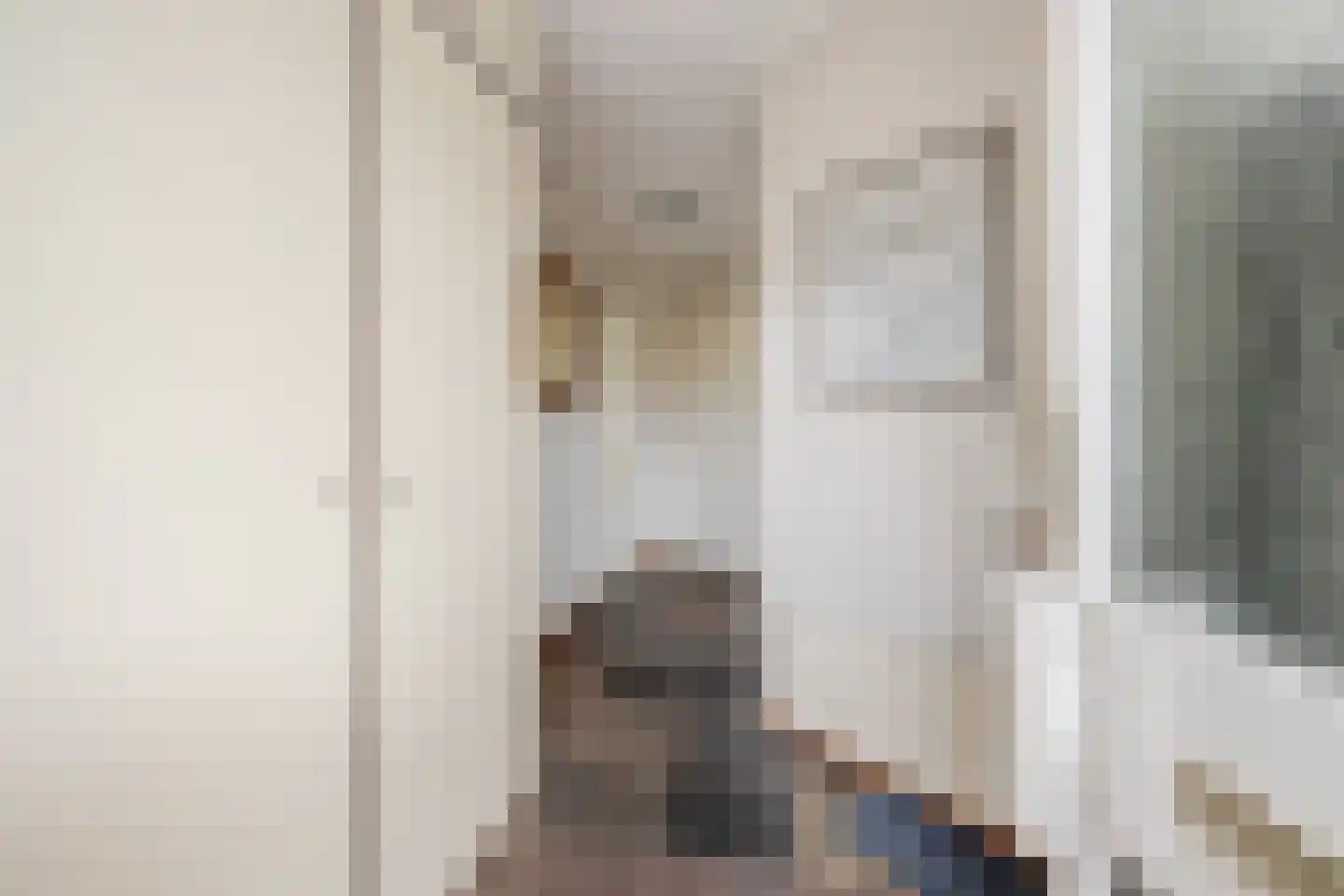 Brantjesstraat 38 Purmerend thumbnail 9