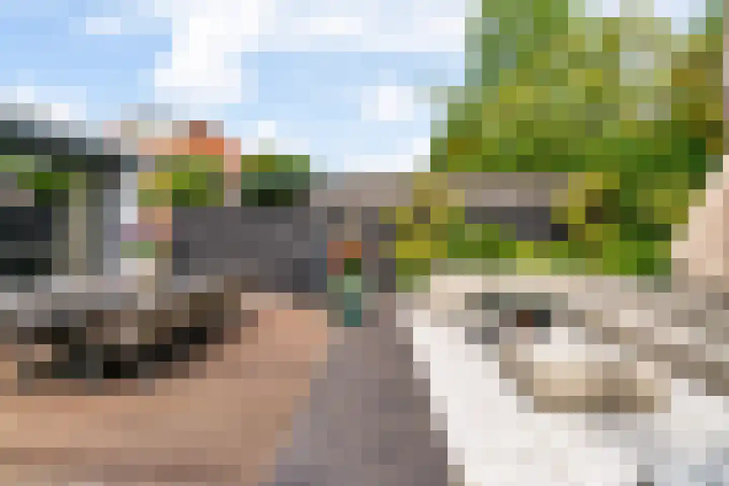 Brantjesstraat 63 Purmerend thumbnail 50