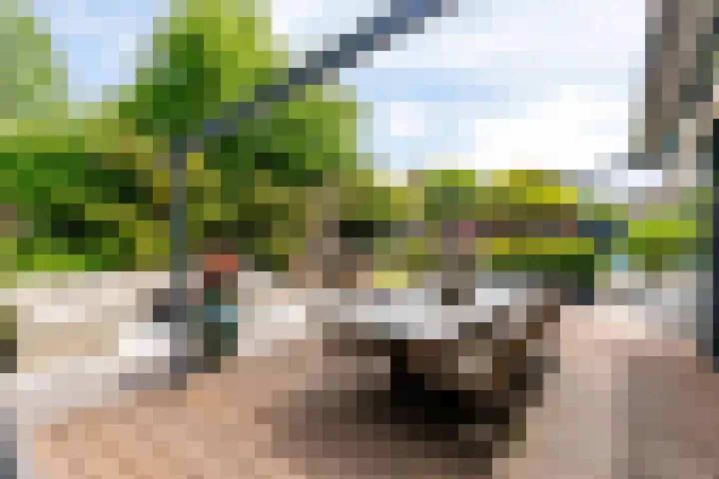 Brantjesstraat 63 Purmerend thumbnail 54