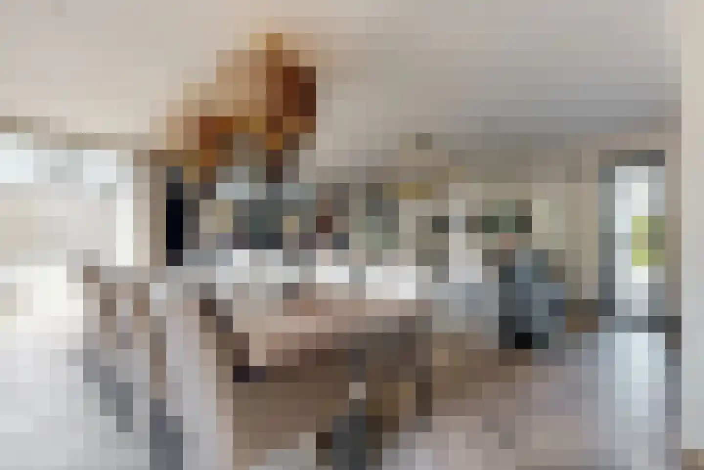 Brantjesstraat 63 Purmerend thumbnail 6