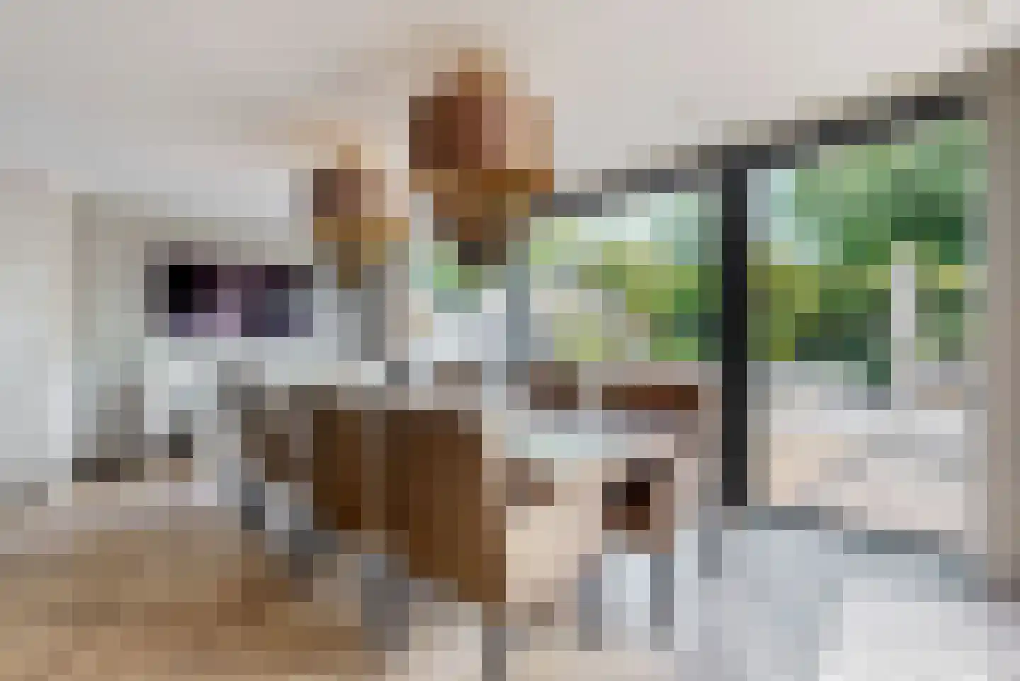 Brantjesstraat 63 Purmerend thumbnail 9