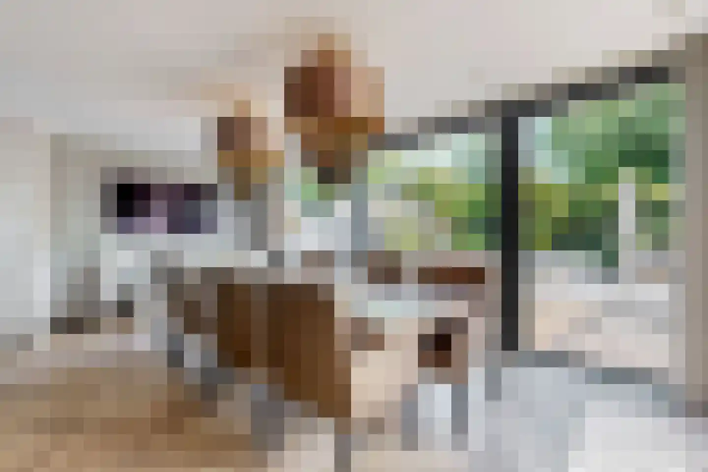 Brantjesstraat 63 Purmerend thumbnail 9
