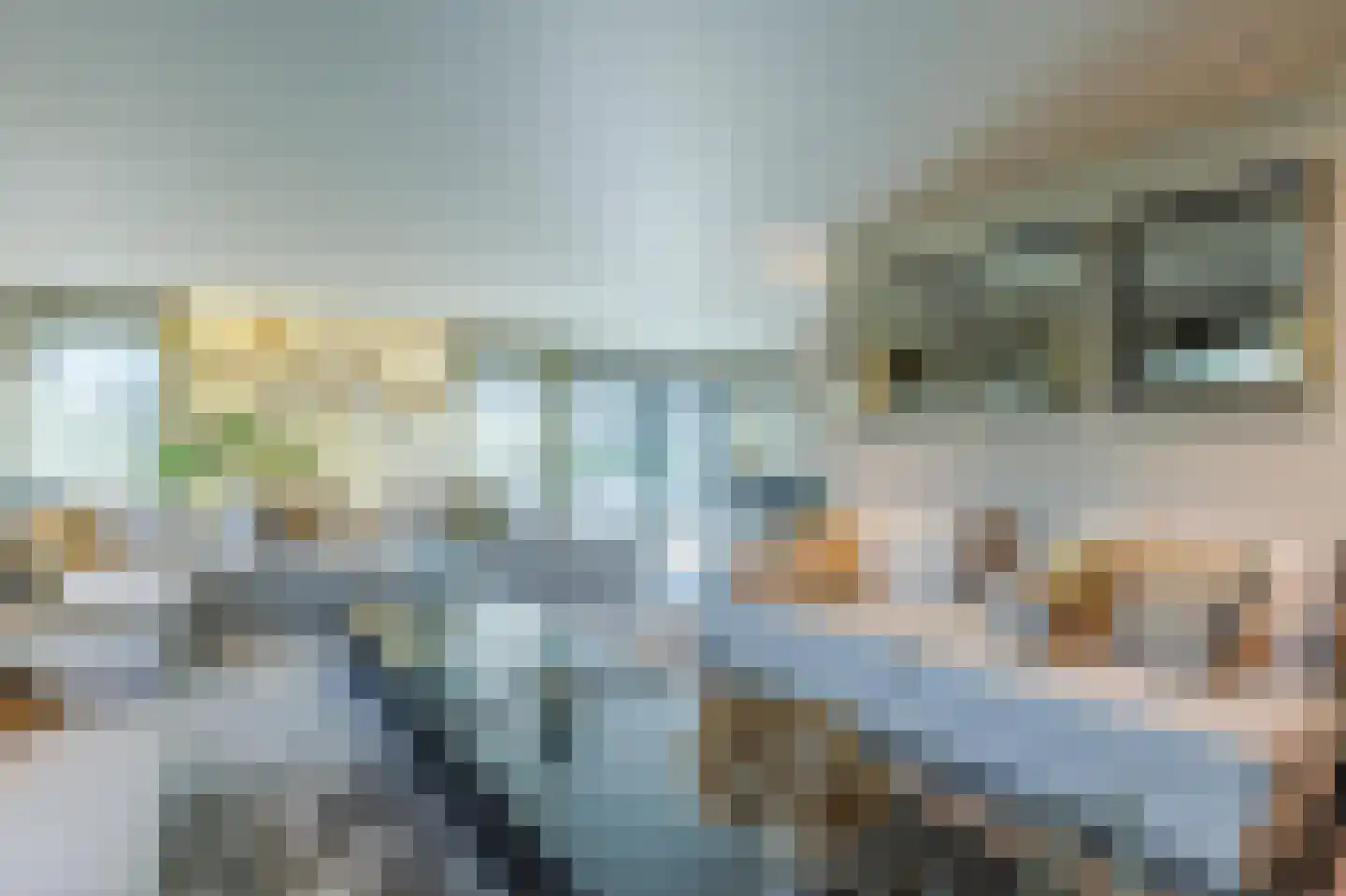 Brantjesstraat 72 Purmerend thumbnail 17