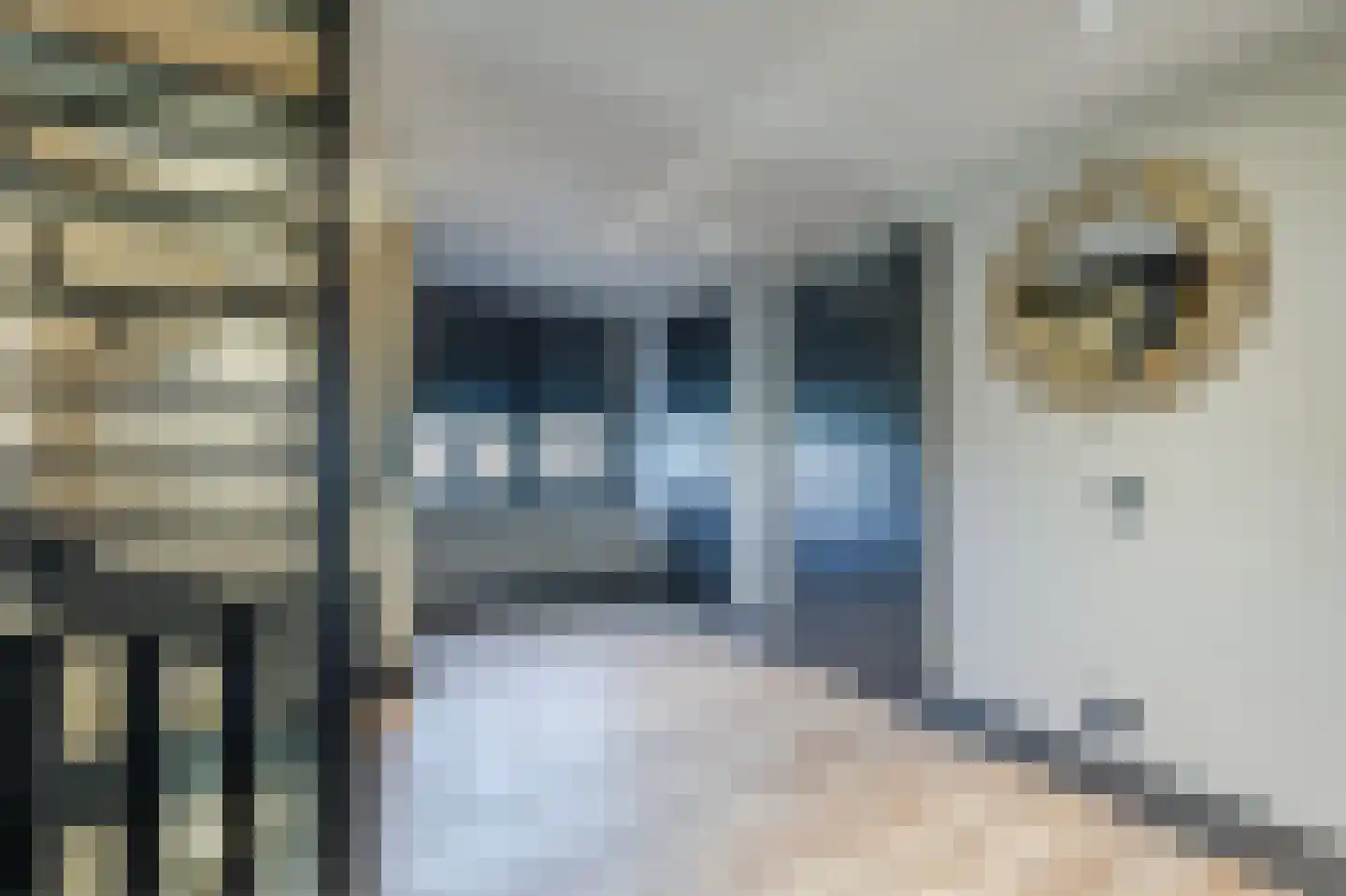 Brantjesstraat 72 Purmerend thumbnail 55