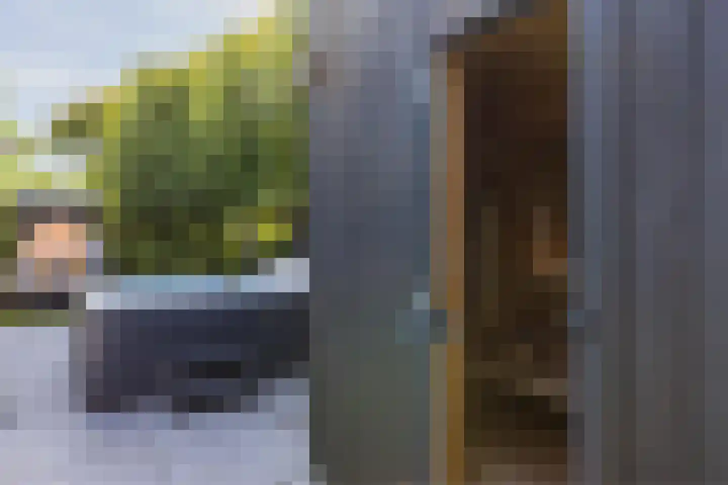 Brantjesstraat 72 Purmerend thumbnail 88