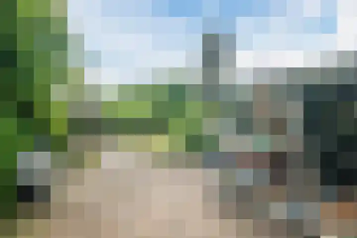 Brantsenpark 38 De Steeg thumbnail 43