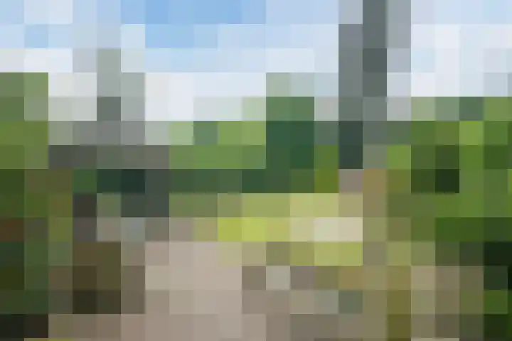 Brantsenpark 38 De Steeg thumbnail 45