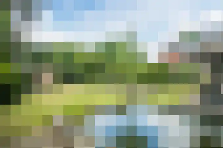Brantsenpark 38 De Steeg thumbnail 50
