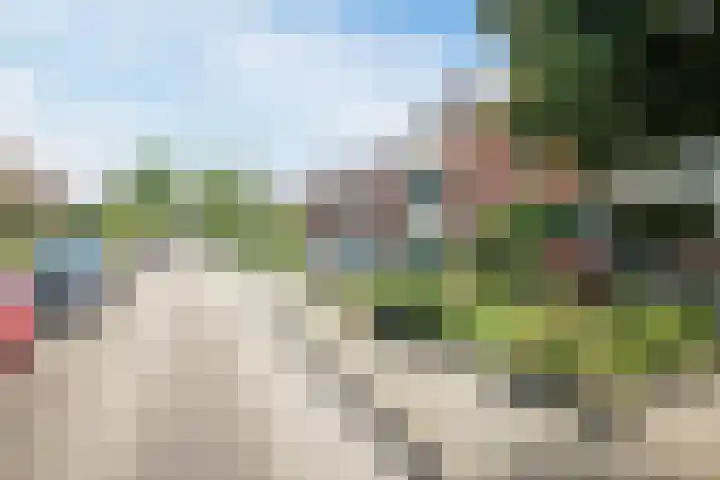 Brantsenpark 38 De Steeg thumbnail 52