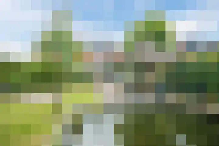 Brantsenpark 38 De Steeg thumbnail 64