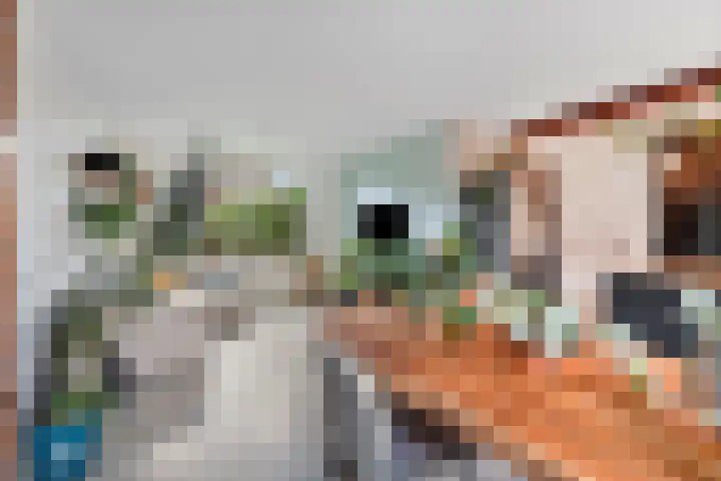 Brantsenpark 5 De Steeg thumbnail 10