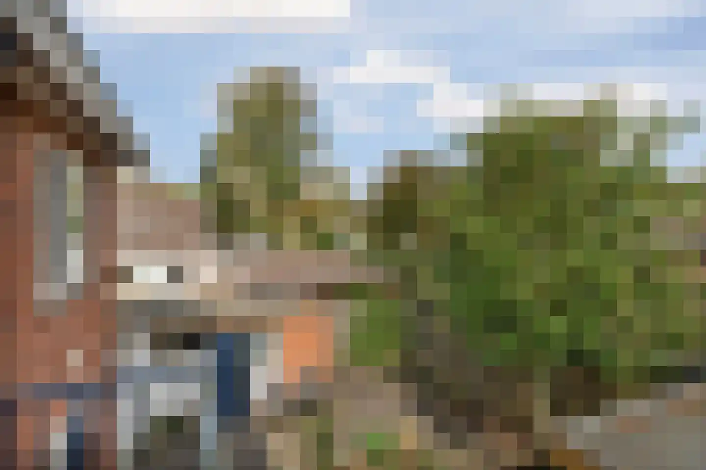 Brantsenpark 5 De Steeg thumbnail 31