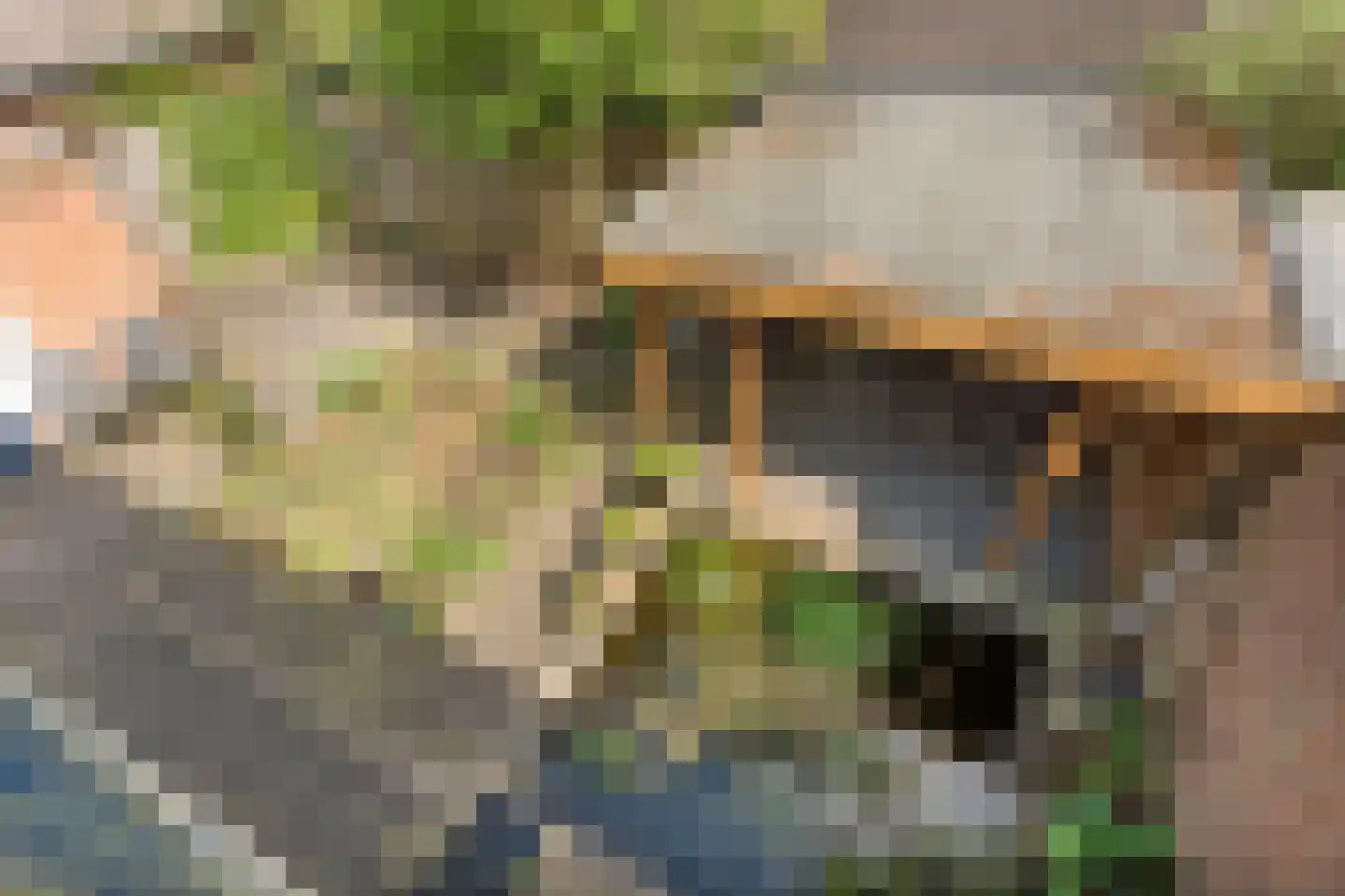 Brantsenpark 5 De Steeg thumbnail 32